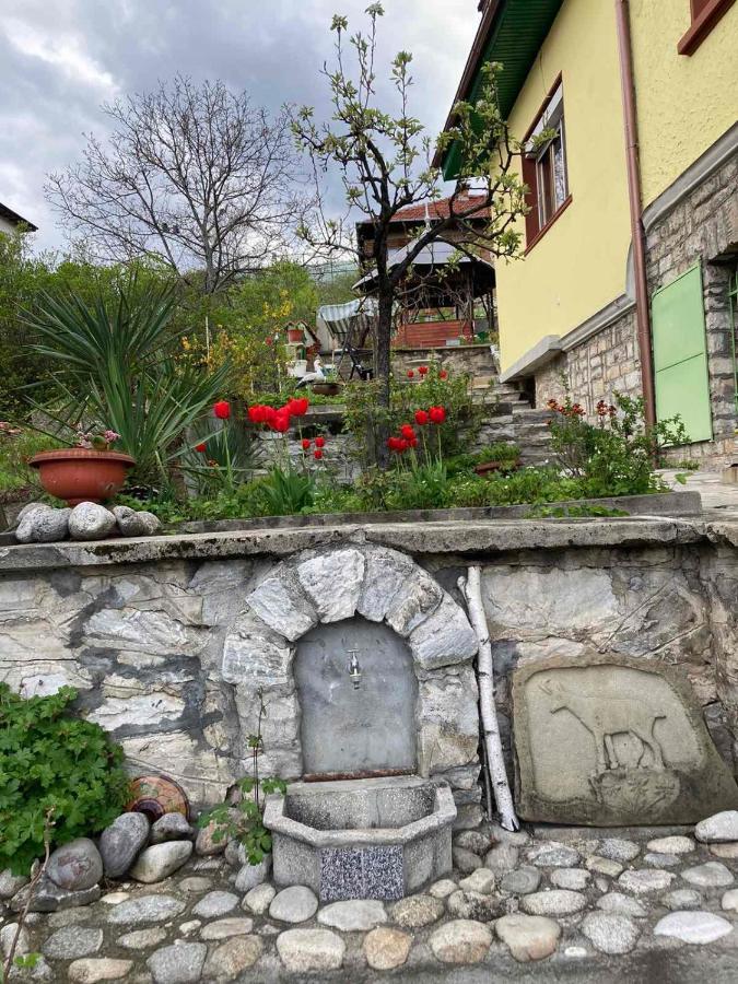 Vila Venera فيلينغراد المظهر الخارجي الصورة