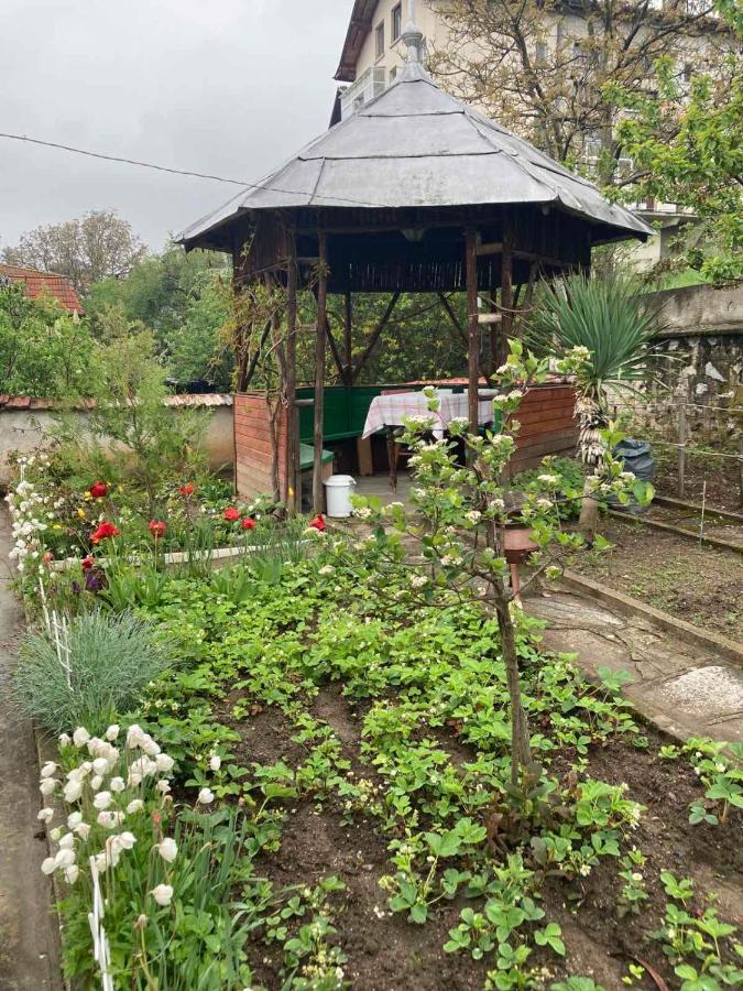 Vila Venera فيلينغراد المظهر الخارجي الصورة