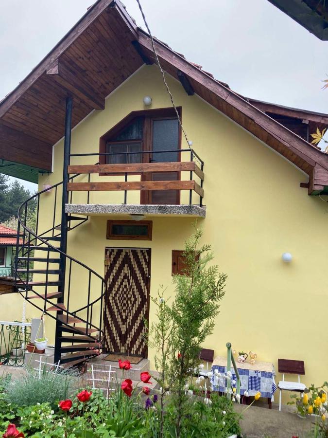 Vila Venera فيلينغراد المظهر الخارجي الصورة
